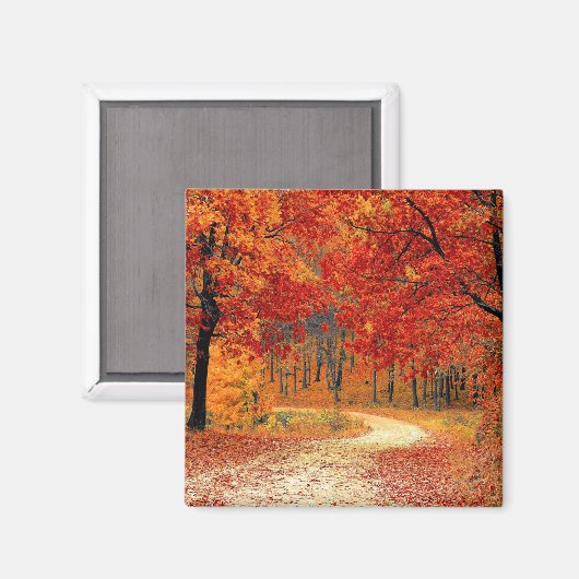 Waldweg, Herbst Magnet (Vorderseite/Rückseite)