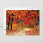 Waldweg, Herbst Postkarte (Vorne/Hinten)