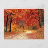 Waldweg, Herbst Postkarte (Vorderseite)