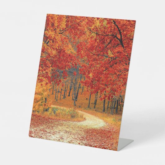 Waldweg, Herbst Sockelschild (Vorderseite)