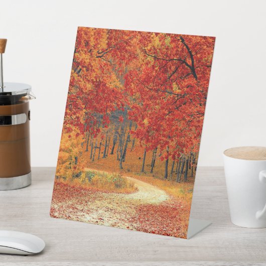 Waldweg, Herbst Sockelschild (In SItu)