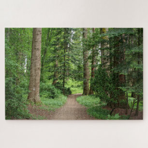 Waldweg, Hochland, Schottland Jigsaw Puzzle