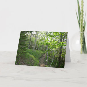 Waldweg im Acadia National Park Karte