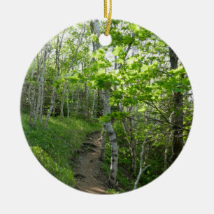 Waldweg im Acadia National Park Keramik Ornament