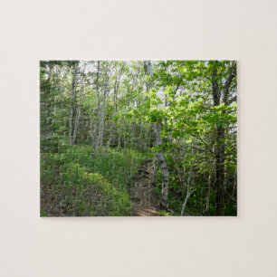 Waldweg im Acadia National Park Puzzle