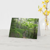 Waldweg im Acadia Nationalpark Karte (Gelbe Blume)