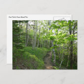 Waldweg im Acadia Nationalpark Postkarte (Vorne/Hinten)
