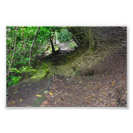 Waldweg im Allan Park Sowerby Bridge Fotodruck