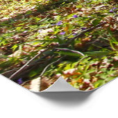 Waldweg im Frühjahr Poster (Ecke)
