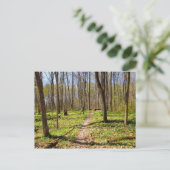 Waldweg im Frühjahr Postkarte (Stehend Vorderseite)