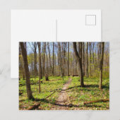 Waldweg im Frühjahr Postkarte (Vorne/Hinten)