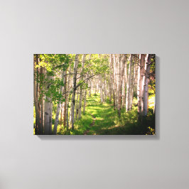 Waldweg im Spätfrühling Leinwanddruck