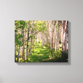 Waldweg im Spätfrühling Leinwanddruck