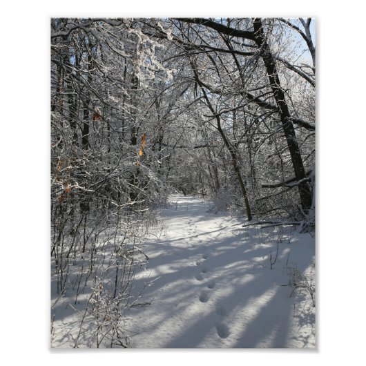 Waldweg im Winter Fotodruck (Vorne)