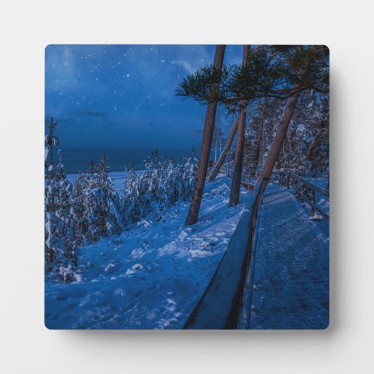 Waldweg in der Winternacht Fotoplatte (Vorderseite)