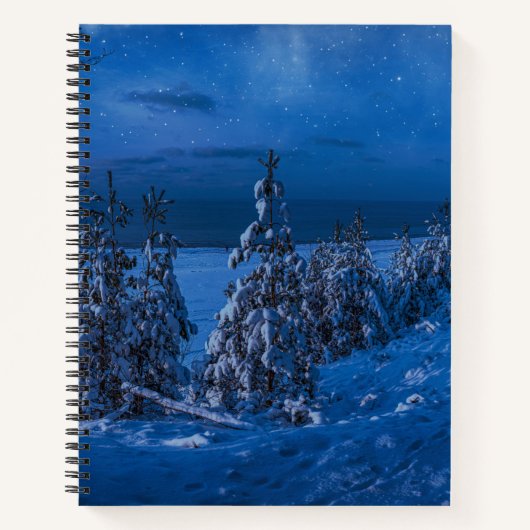 Waldweg in der Winternacht Notizblock (Vorderseite)