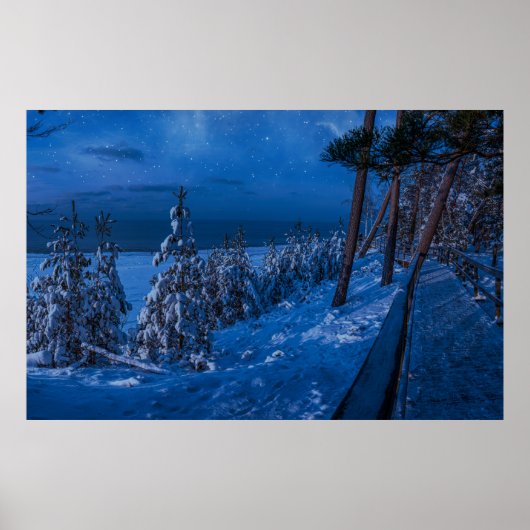 Waldweg in der Winternacht Poster (Vorne)