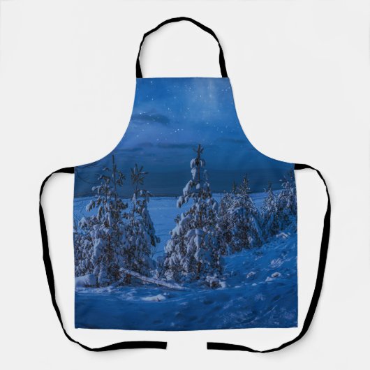 Waldweg in der Winternacht Schürze (Vorderseite)