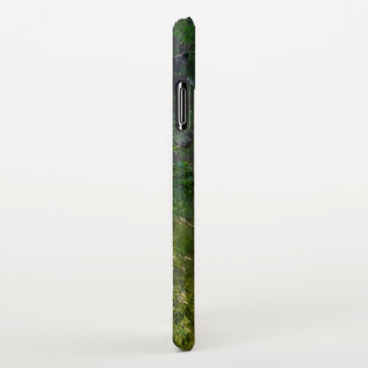 Waldweg iPhone Hülle (Rechte Seite)