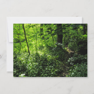 Waldweg Karte