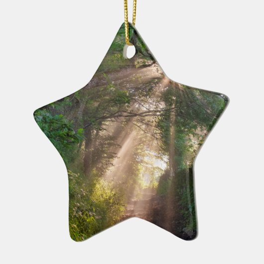 Waldweg Keramik Ornament (Links)