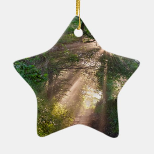 Waldweg Keramik Ornament (Hinten)