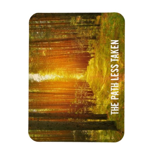 Waldweg Magnet (Vertikal)