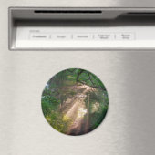 Waldweg Magnet (In Situ (Geschirrspüler))