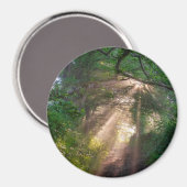 Waldweg Magnet (Vorderseite/Rückseite)