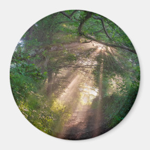 Waldweg Magnet