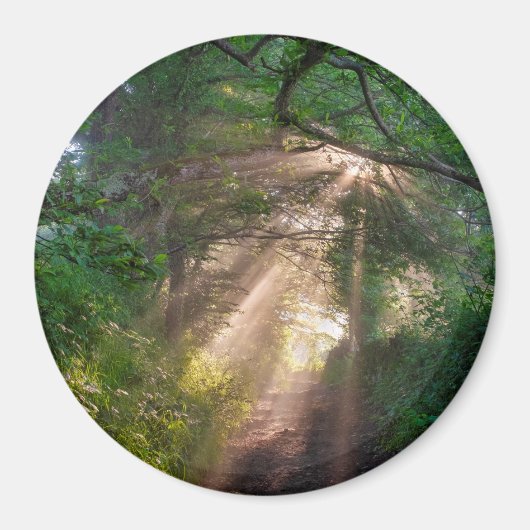 Waldweg Magnet (Vorne)
