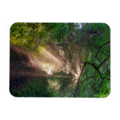 Waldweg Magnet (Horizontal)