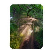 Waldweg Magnet (Vertikal)