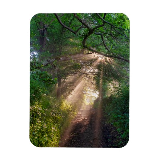 Waldweg Magnet (Vertikal)