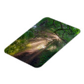 Waldweg Magnet (Linke Seite)