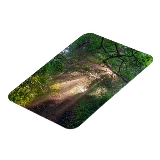 Waldweg Magnet (Linke Seite)