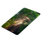 Waldweg Magnet (Linke Seite)