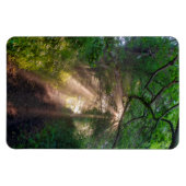 Waldweg Magnet (Horizontal)