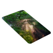 Waldweg Magnet (Rechte Seite)