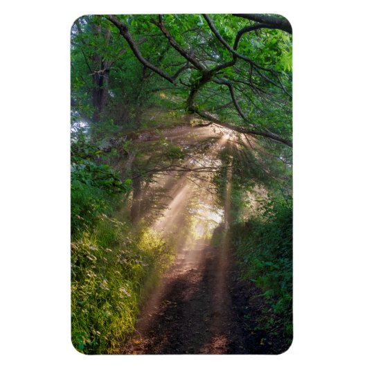 Waldweg Magnet (Vertikal)