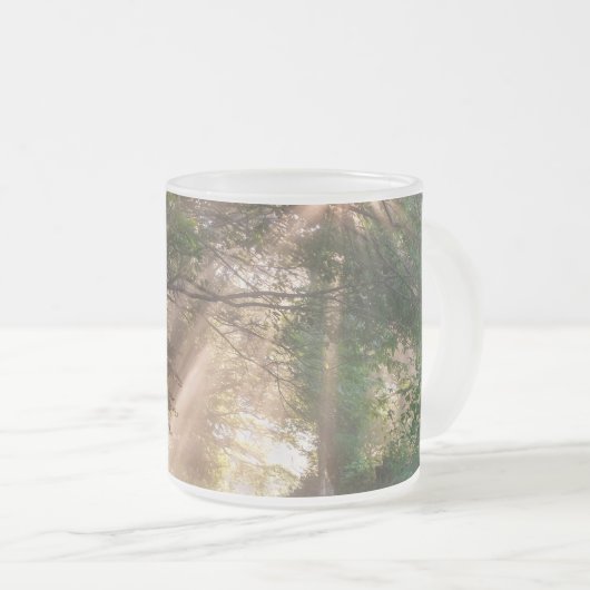 Waldweg Mattglastasse (VorderseiteRechts)