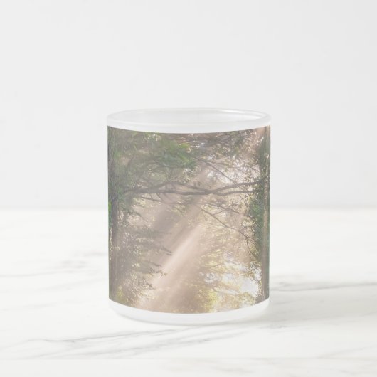 Waldweg Mattglastasse (Mittel)