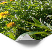 Waldweg mit gelben Wildblumen Poster (Ecke)