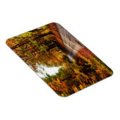 Waldweg mit Laubwaldbewuchs Magnet (Rechte Seite)