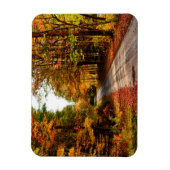 Waldweg mit Laubwaldbewuchs Magnet (Vertikal)