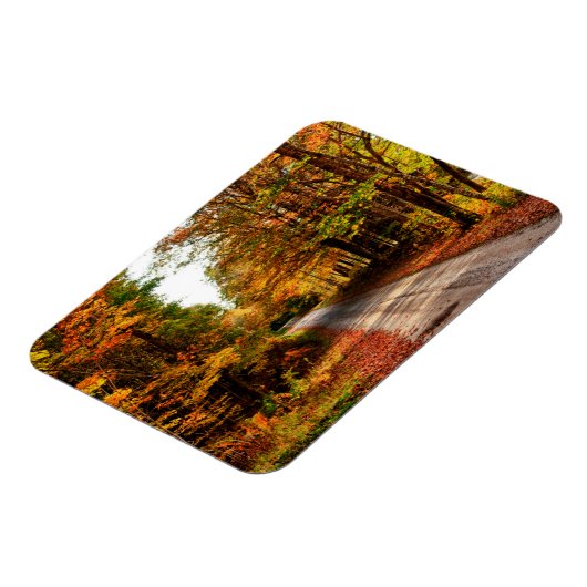 Waldweg mit Laubwaldbewuchs Magnet (Linke Seite)