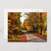 Waldweg mit Laubwaldbewuchs Postkarte (Vorne/Hinten)