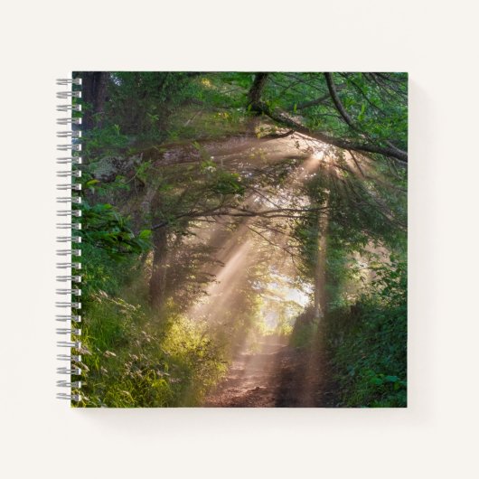 Waldweg Notizblock (Vorderseite)