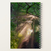 Waldweg Notizblock (Rückseite)