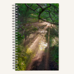 Waldweg Notizblock
